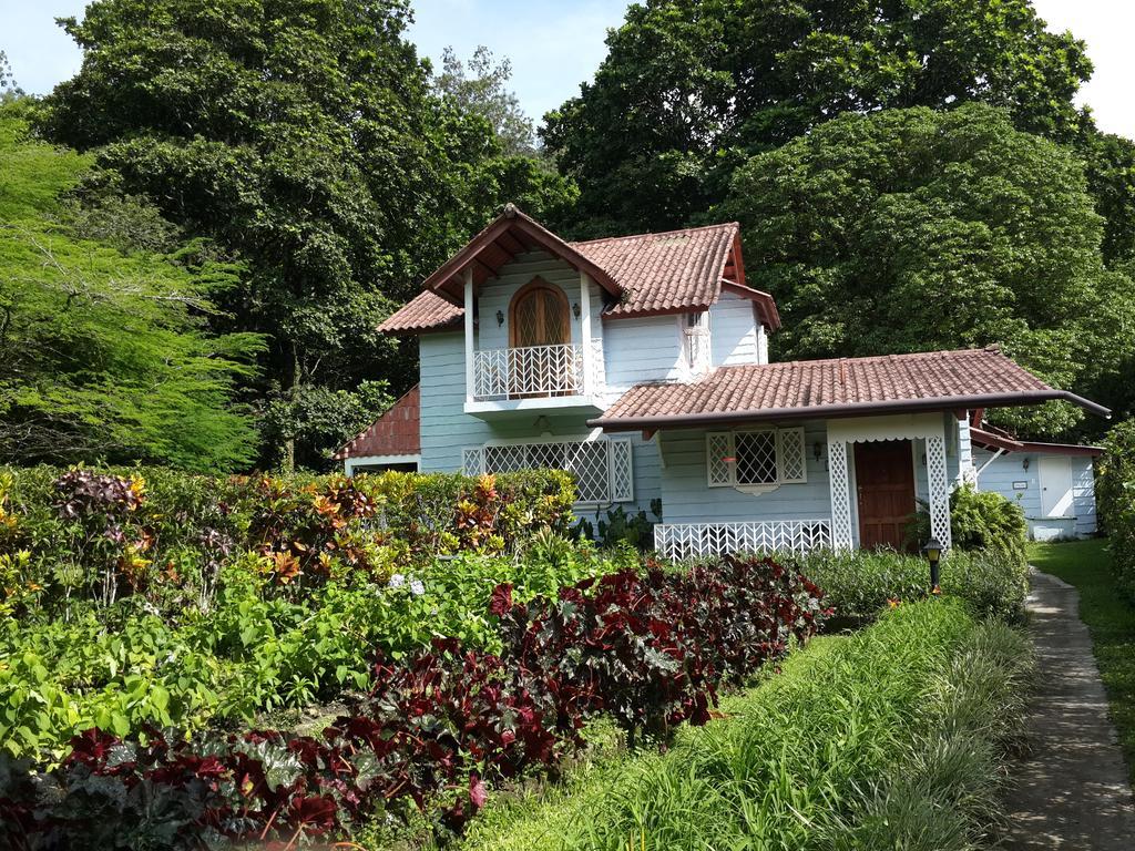 Park Eden Bed & Breakfast Los Llanitos Pokój zdjęcie