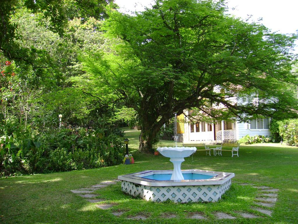 Park Eden Bed & Breakfast Los Llanitos Zewnętrze zdjęcie